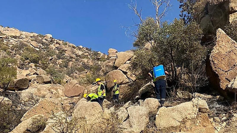 الدفاع المدني بميسان يخمد حريقًا في أشجار وأعشاب في جبل بثرة