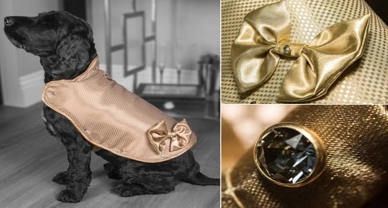 بالصور.. جاكيت من الذهب بسعر 137 ألف دولار ليرتديه كلب