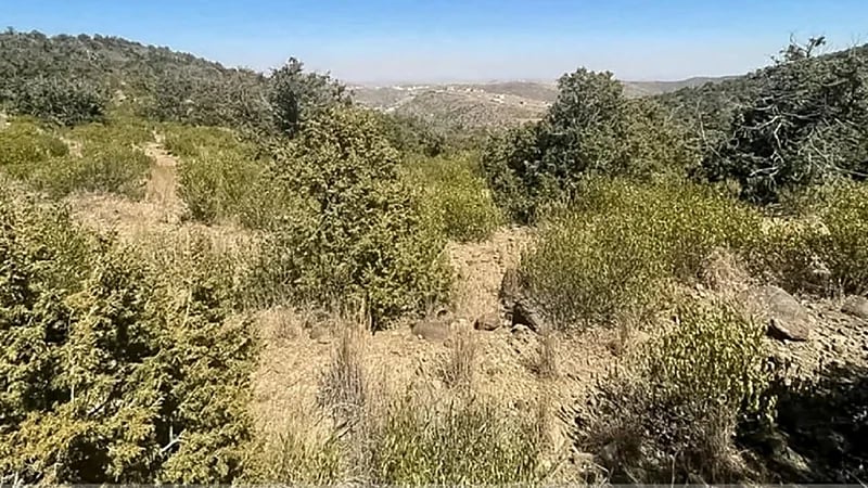 "الدفاع المدني" ‏يحذر من إشعال النار للتدفئة أو الطبخ وترك بقايا الجمر