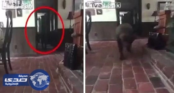 بالفيديو.. رصد شبح يتجول في منزل بأوهايو الأمريكية