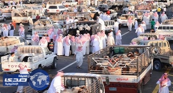 " زراعة الدوادمي " تطلق حملة " أضحيتي "