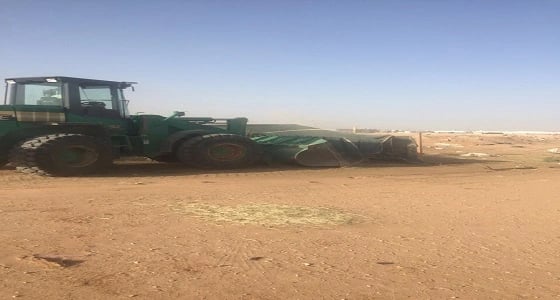 بالصور.. إزالة 13 مسلخ عشوائي و 6 مخيمات و5 حظائر للماشية بالروضة