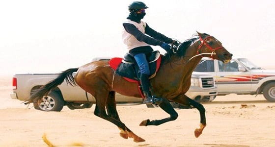 " فريق الحلم السيء " يخترق موقع اتحاد الفروسية ويوجه رسالة من 4 نقاط