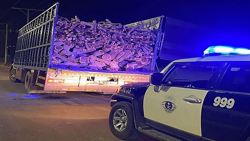 ضبط مقيم مخالف لنظام البيئة بالقصيم .. فيديو