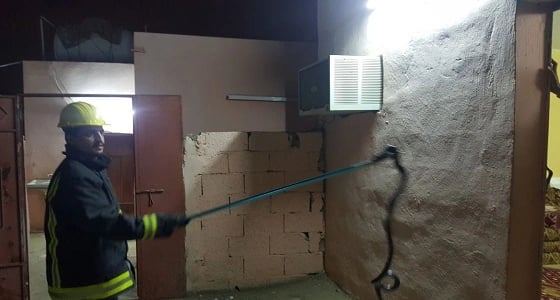 " مدني عسير " ازالة ثعبان من احد المنازل بقرية ال كميت بالمجاردة