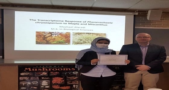 دراسة جديدة تضمن للمملكة المنافسة في سوق الطاقة المتجددة