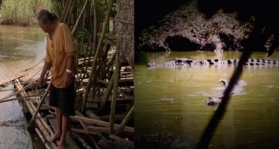 بالفيديو.. قرويون يطاردون تمساحا طوله 9 أمتار في الفلبين