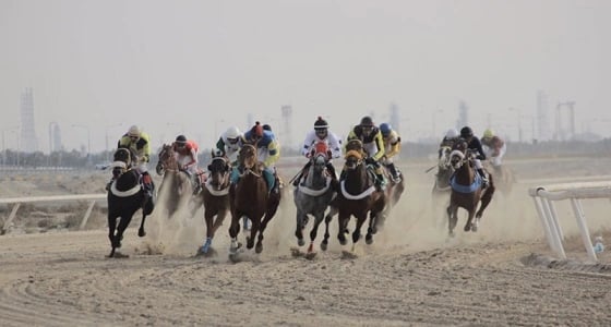 مشاركة 67 جوادا في تصفيات عز الخيل برعاية أمير القصيم