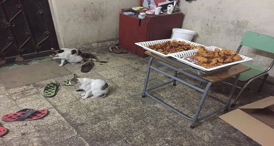 بالصور.. ضبط 4 شقق سكنية مخالفة لتحضير الأطعمة وتوزيعها بوسط الدمام