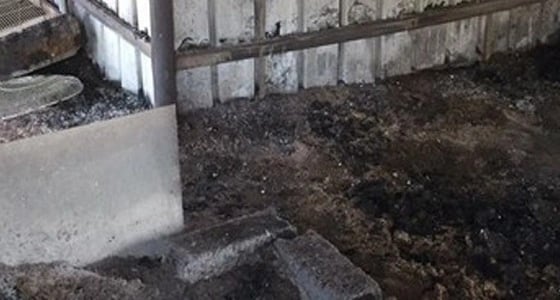 مصرع معمر في حريق بمحافظة يدمة