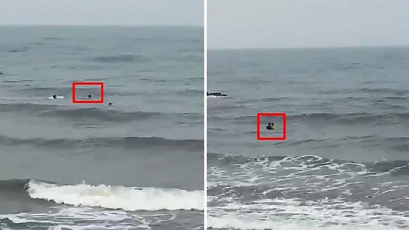 شاهد.. نجاة طفل بأعجوبة بعدما جرفته الأمواج وهو يسبح في شاطيء بيش