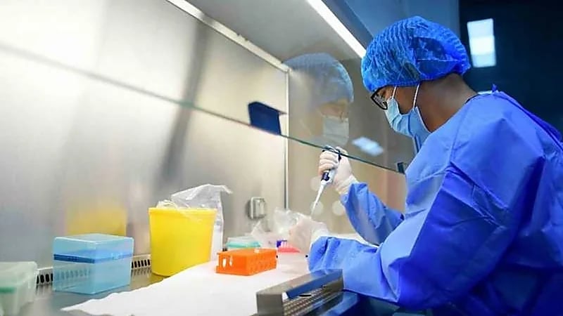 تحذيرات من فيروس جديد يهدد البشر