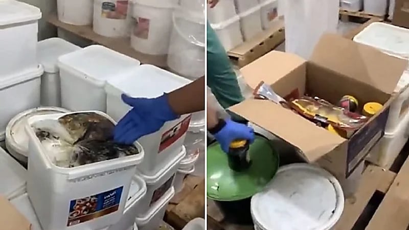 بالفيديو.. ضبط مستودع لإعادة تعبئة الأغذية الفاسدة وبيعها بالأسواق