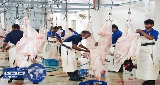 " أمانة عسير " تزيد نقاط ذبح الأضاحي