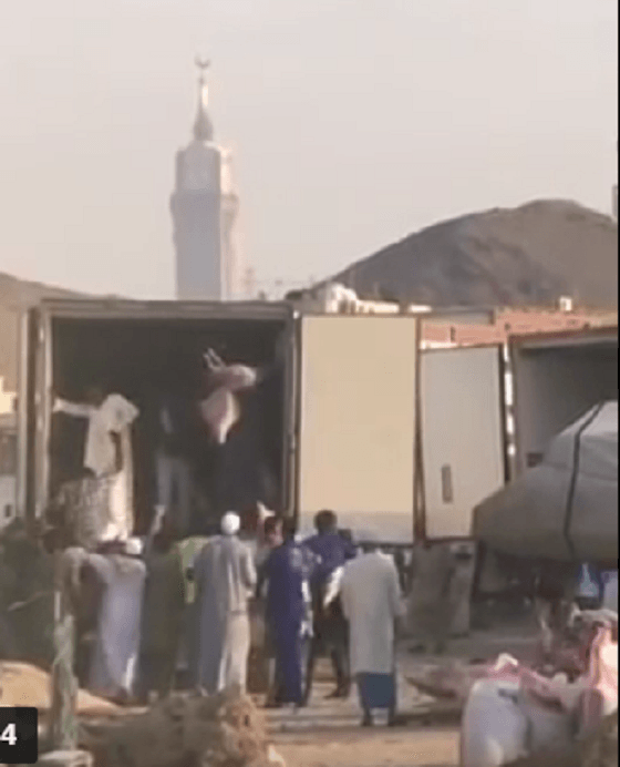 شاهد بالفيديو..توزيع عشوائي للحوم الأضاحي بمكة