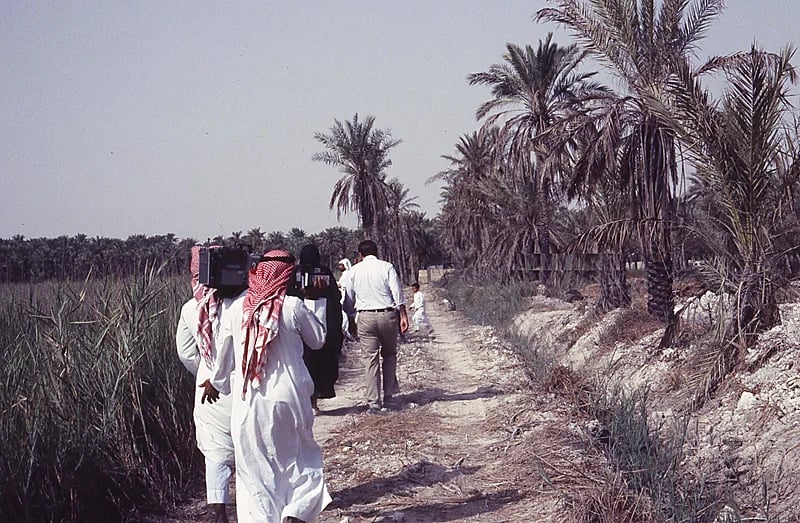 جولة في مزارع القطيف قبل 40 عام