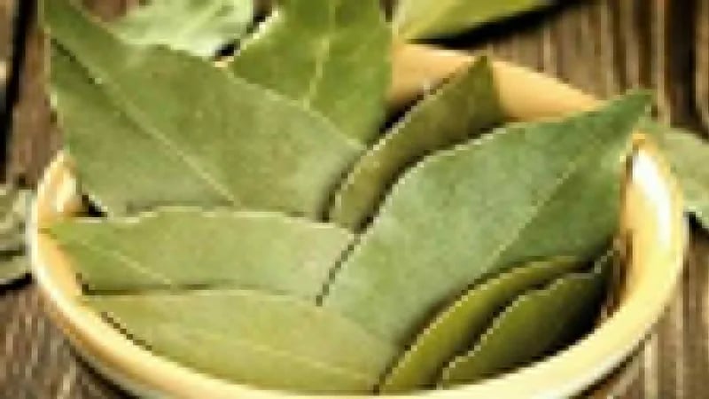 فوائد مذهلة لتناول مستخلص اوراق الجوافة