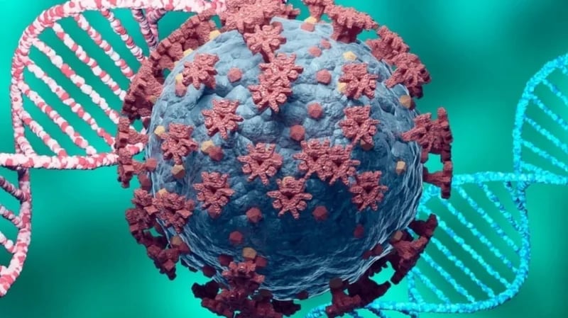 سلالتان أوميكرون يتسببان في ارتفاع وتيرة الإصابات