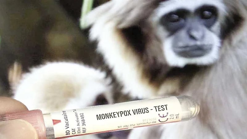 الاتحاد الأوروبي يكشف عن لقاح ضد جدري القردة