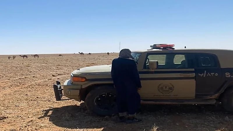ضبط مخالف لارتكابه مخالفة رعي بمحمية الملك سلمان الملكية