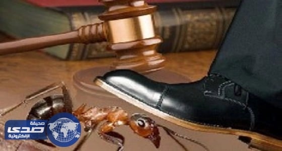 مواطن يقاضي مقيمًا لدهسه " نملة " متعمدًا