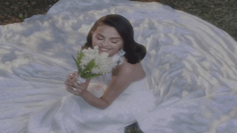 سيلينا غوميز تحتفل بزواجها من منتج موسيقي .. صور