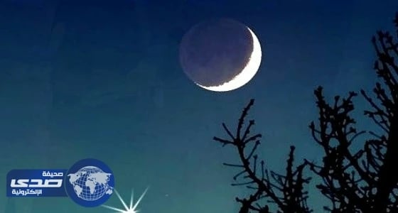 الرياضة تلاحق مغرد أساء لـ " آل الشيخ "