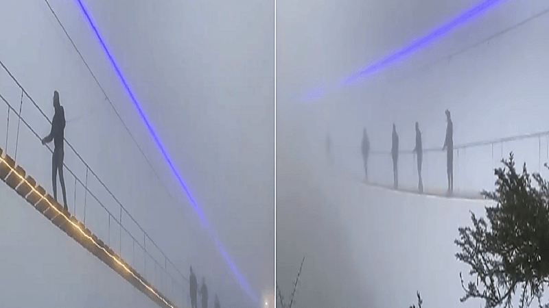 بالفيديو.. ممشى السحاب في غابة رغدان يجذب السياح والزوار