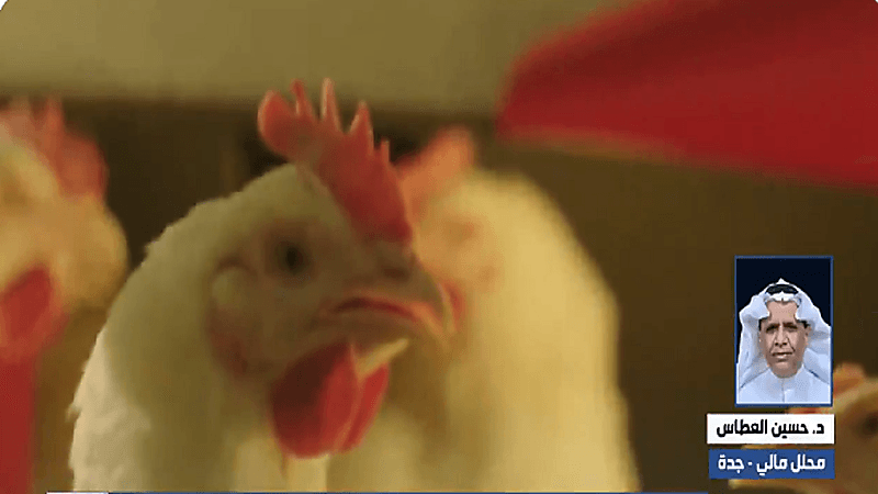 "مختص" يوضح هل ينافس الإنتاج المستورد من الدواجن شركة المراعي في الأسعار(فيديو)