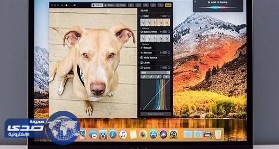 بالفيديو.. لحظة هروب عجل من سيارة