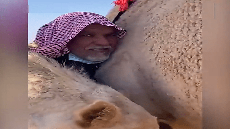ناقة تحتضن صاحبها بعد فراق (فيديو)