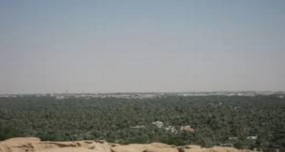 "الري والصرف" تودع " 33 " مليون ريال في حسابات مزارعي الأحساء