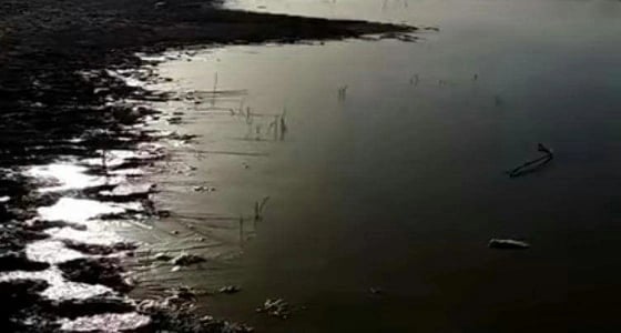 شاهد.. مواطن يوثق تجمد مياه في وادي الرمة