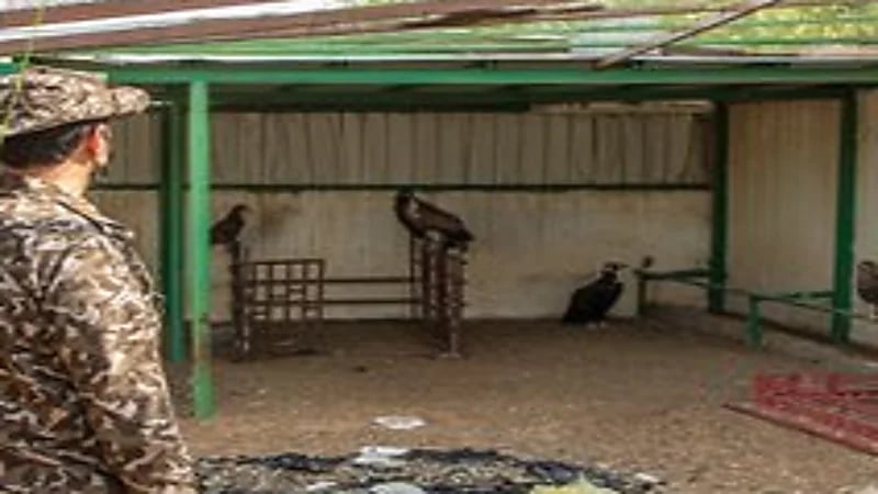 ضبط مخالفًا لنظام البيئة يتاجر بكائنات فطرية مجهولة المصدر في الرياض