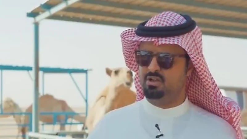 قصة الإبل التي أصابها العمى وطريقة علاجها.. "فيديو" 