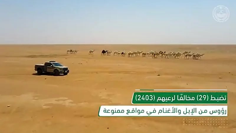 شاهد.. ضبط (111) مخالفًا لنظام البيئة في عدد من مناطق المملكة