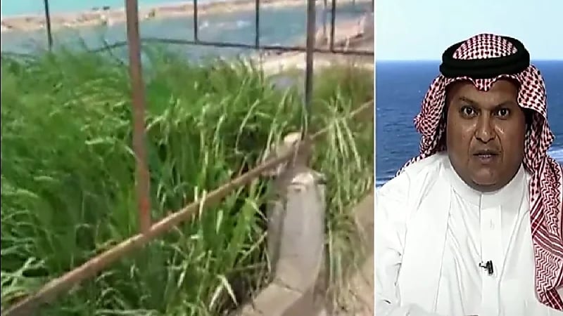 يوسف بندقجي :  نجحت في زراعة الأرز في الصحراء بمواد مبتكرة محلياً (فيديو)