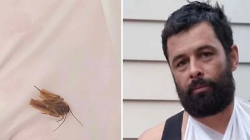 رجل رفع دعوى قضائية بحق فندق بسبب صرصور