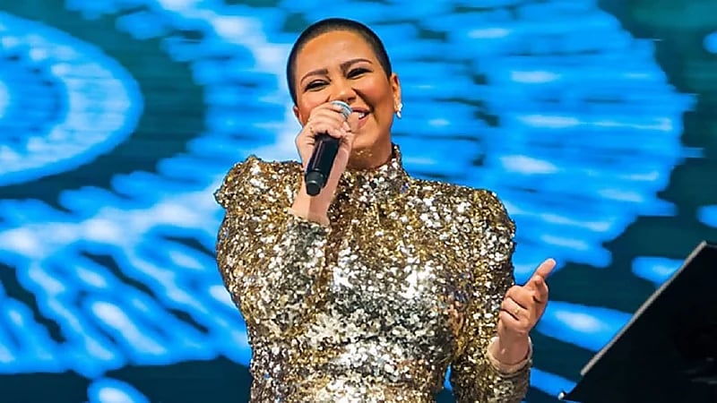 فنان مصري مهاجمًا شيرين: عبيطة في تلقائيتها