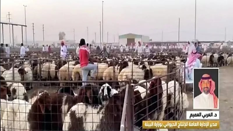 العربي العميم: نستهدف تأهيل ١٠٠٠ ‪ من النساء في عالم تربية الأغنام ومنتجات الثروة الحيوانية(فيديو(