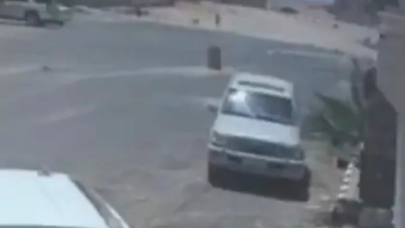 بالفيديو .. كلاب ضالة تطارد طفلة لافتراسها بالقريات