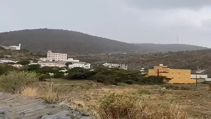 شاهد.. الزائر الأبيض يكسو أعلى جبال المملكة