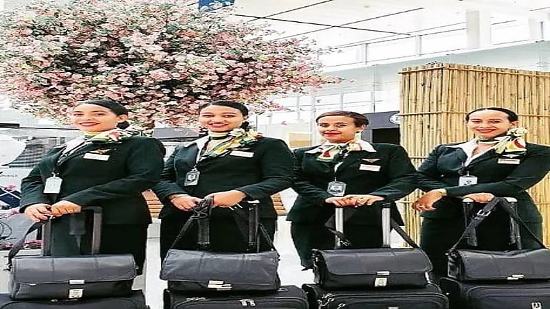 شاهد.. الخطوط الإثيوبية تنسف مشاركة طائراتها في أغراض عسكرية بابتسامة المضيفات