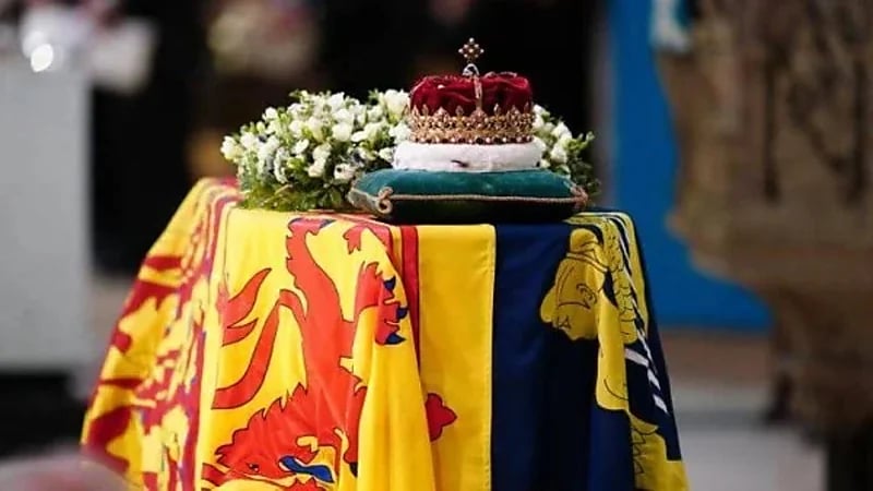 الملك تشارلز يرث طيور البجع في بريطانيا بعد وفاة الملكة إليزابيث