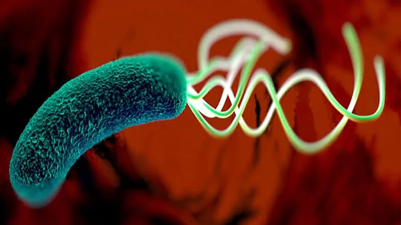 هل لابد من منظار المعدة لتشخيص الجرثومة؟.. استشاري يوضح 