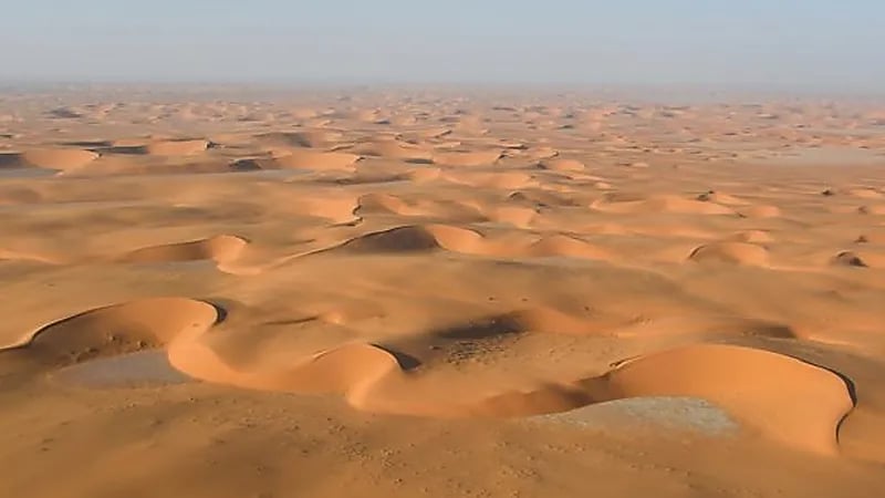 بالفيديو .. ثروات غالية بصحراء "الربع الخالي"
