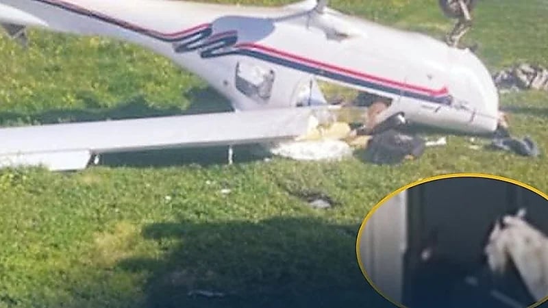 اصطدام طائرة بحصان وتحطمها في أستراليا