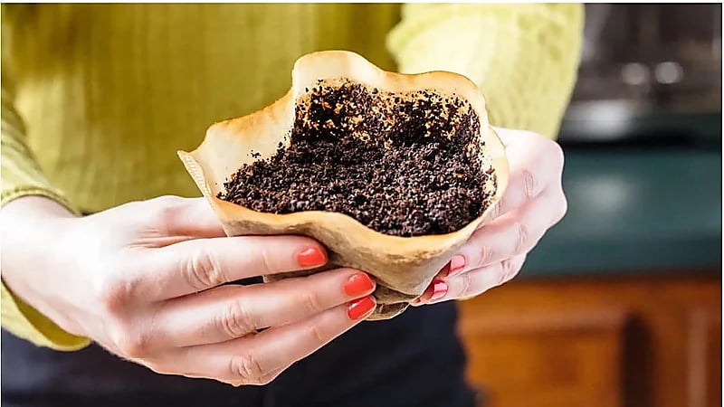 سر غريب في بقايا البُن قد يغير علاج الزهايمر وباركنسون