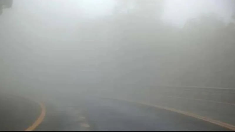 فلوريدا تواجه أزمة صحية بسبب الضباب