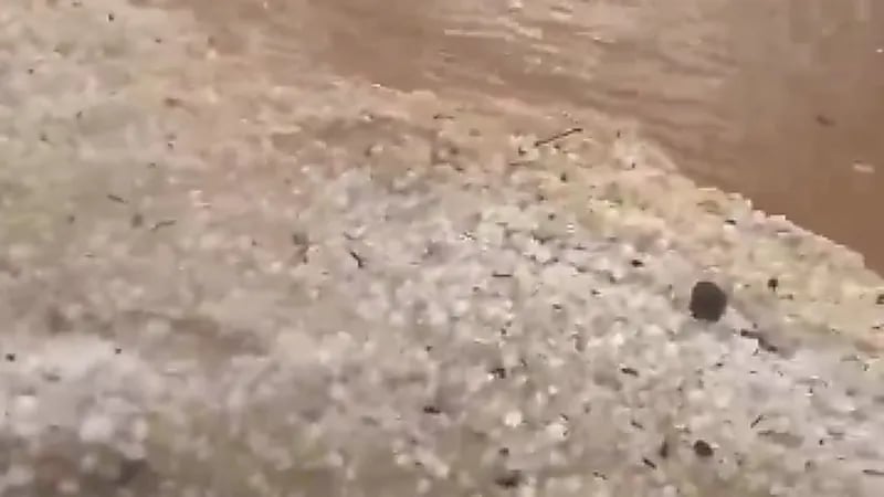 تساقط برد قوي شمال غرب العاصمة الرياض ..فيديو